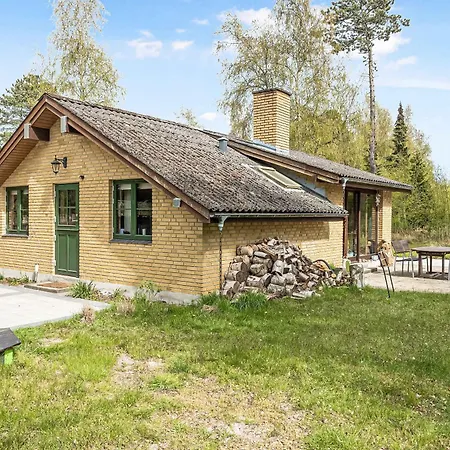 Lovely Summer In Natural Surroundings